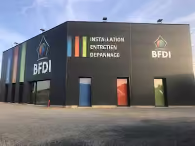 BFDI