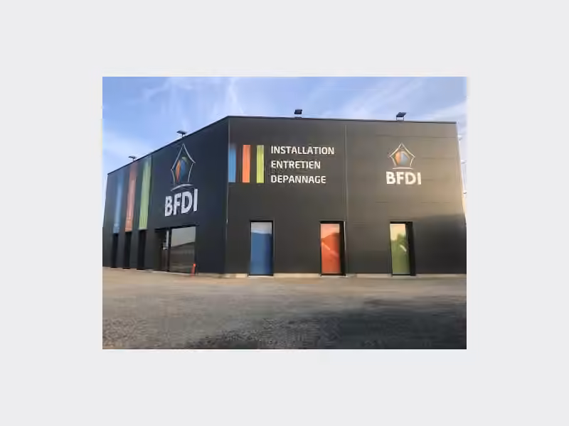 BFDI